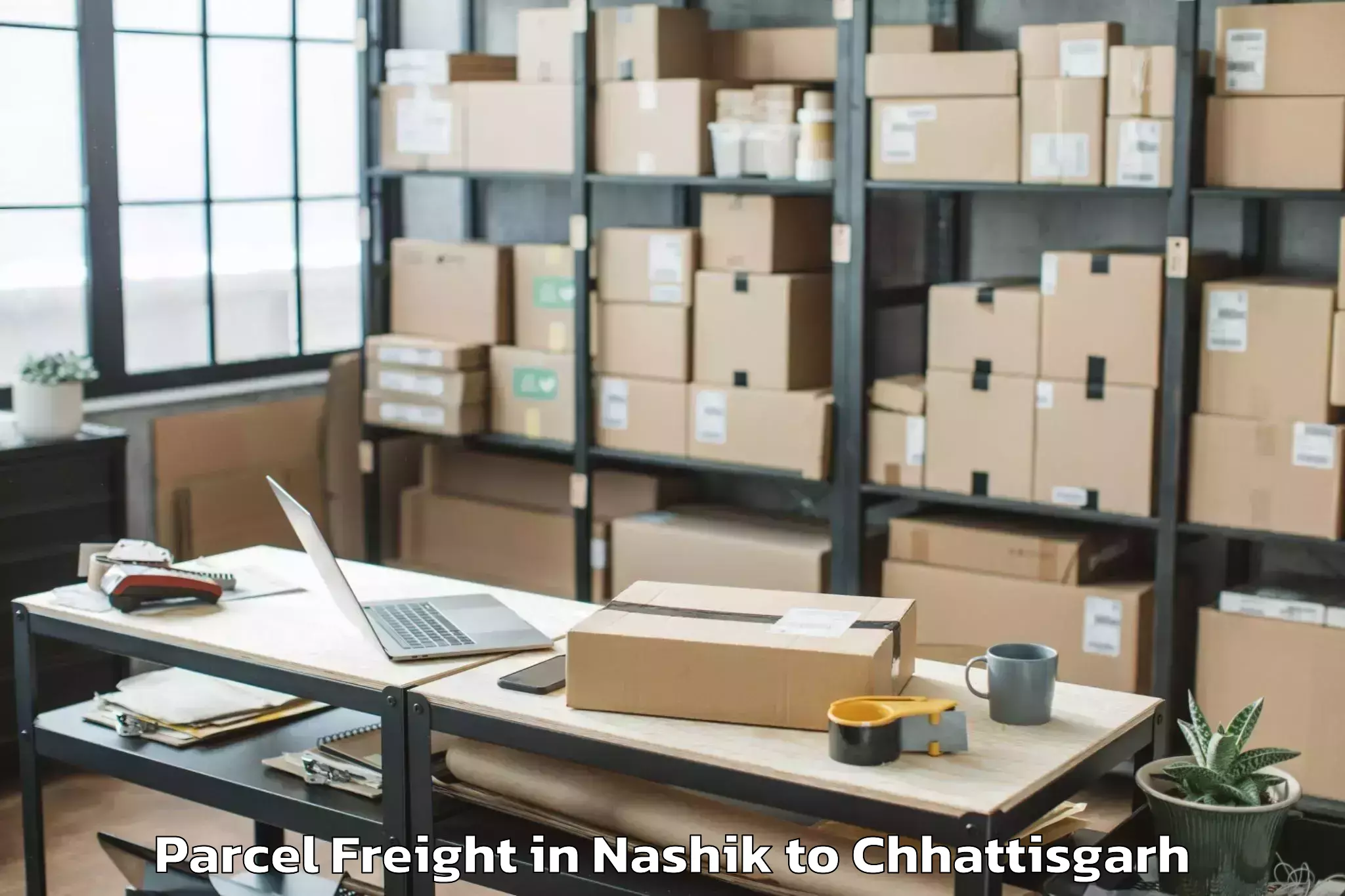 Easy Nashik to Kalinga University Raipur Parcel Freight Booking